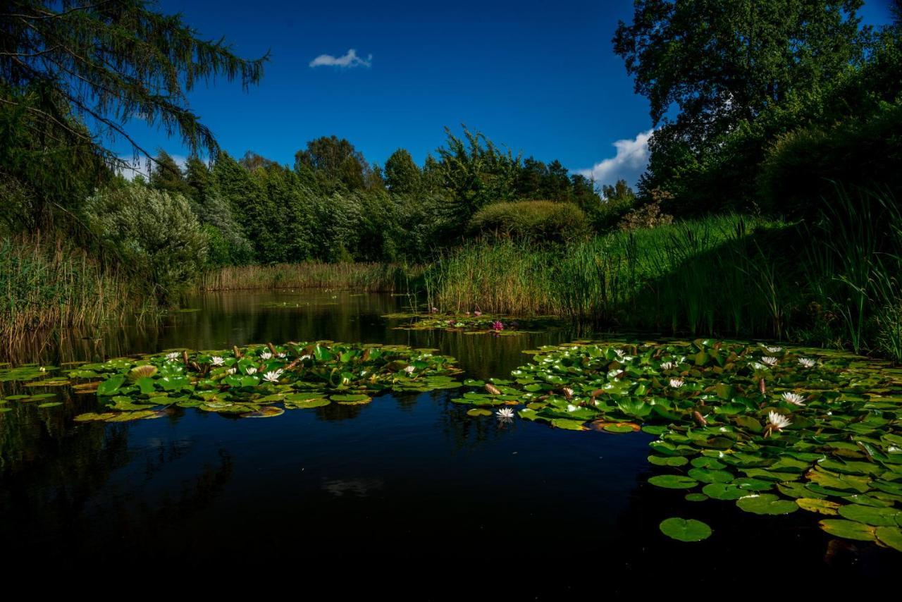 Villa Idilliska Latgaliesu Lauku Maja Ar Melno Pirti Aglona Esterno foto