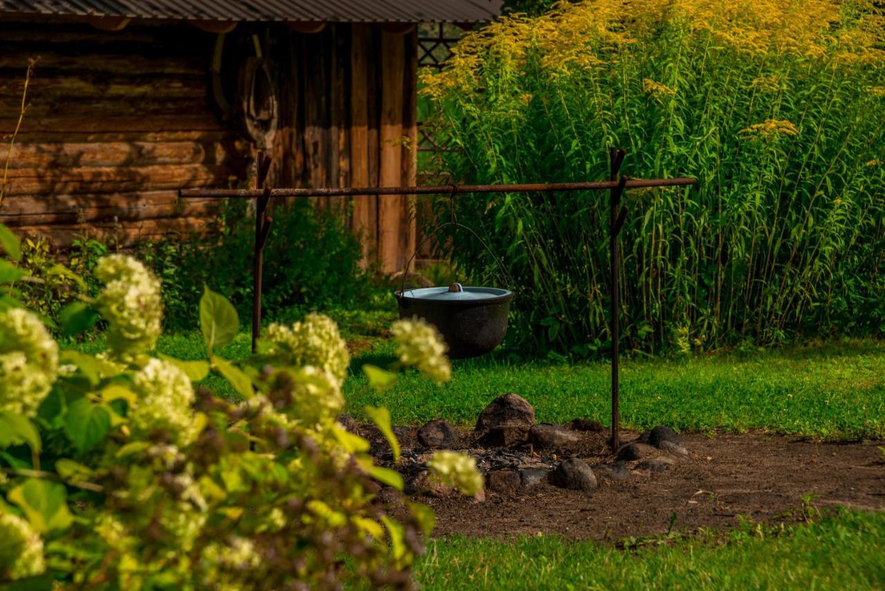 Villa Idilliska Latgaliesu Lauku Maja Ar Melno Pirti Aglona Esterno foto
