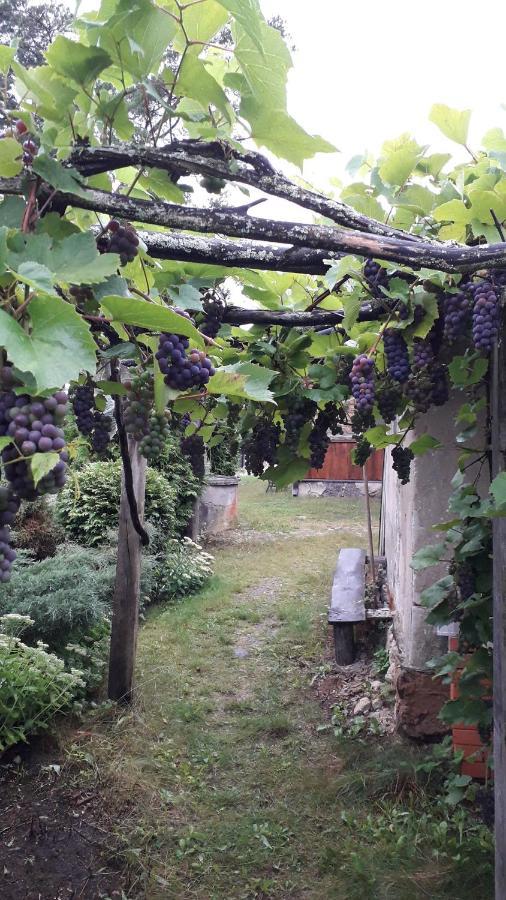 Villa Idilliska Latgaliesu Lauku Maja Ar Melno Pirti Aglona Esterno foto