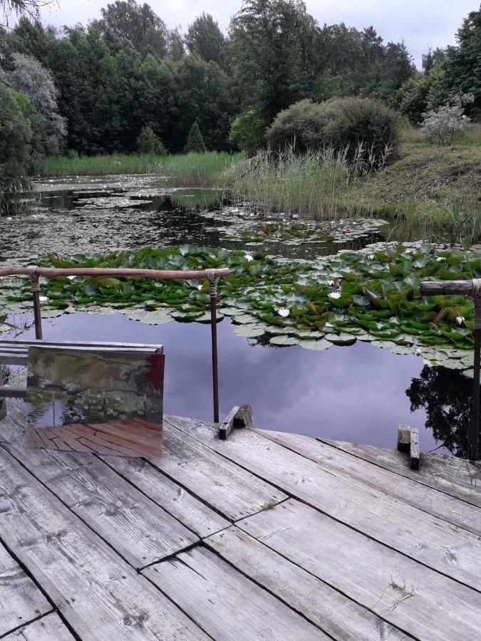 Villa Idilliska Latgaliesu Lauku Maja Ar Melno Pirti Aglona Esterno foto