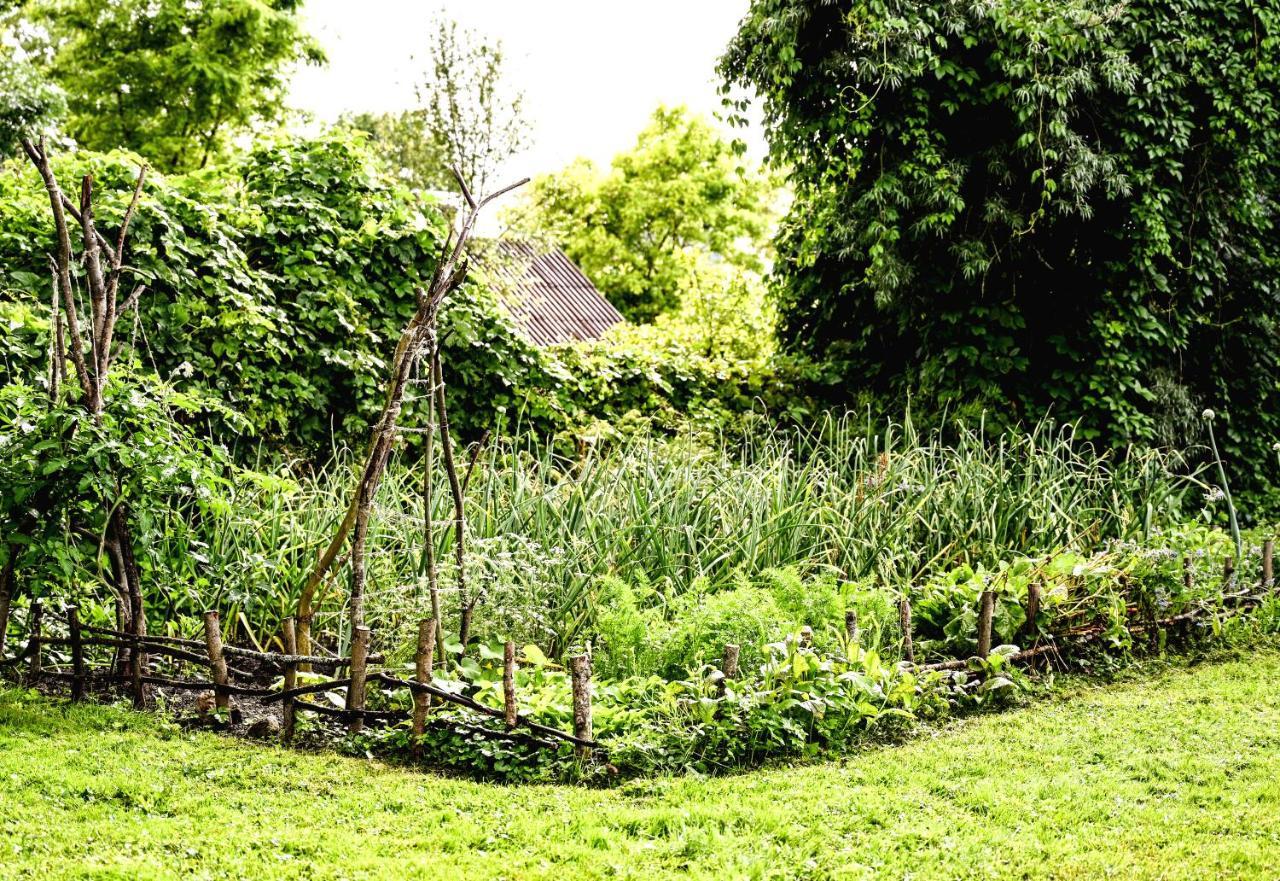 Villa Idilliska Latgaliesu Lauku Maja Ar Melno Pirti Aglona Esterno foto