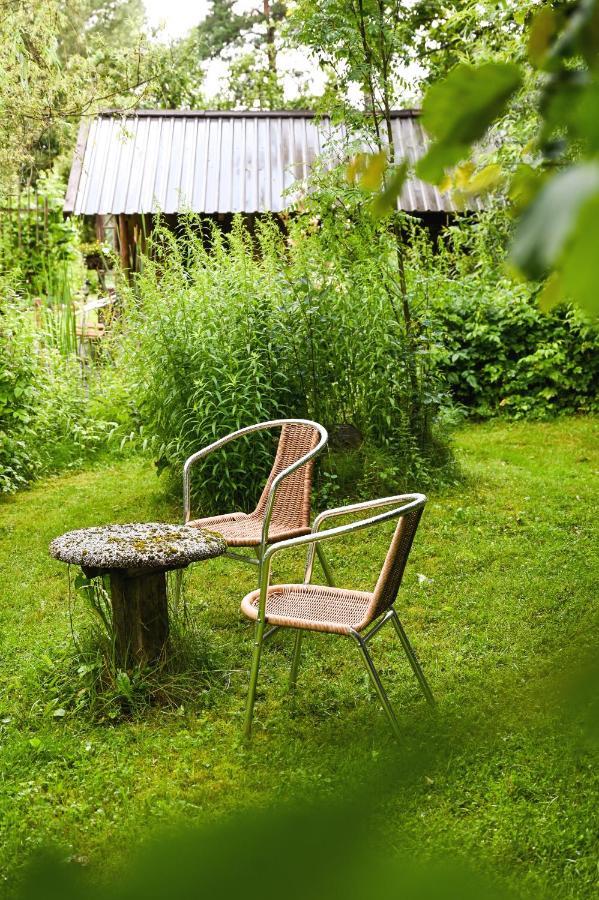 Villa Idilliska Latgaliesu Lauku Maja Ar Melno Pirti Aglona Esterno foto