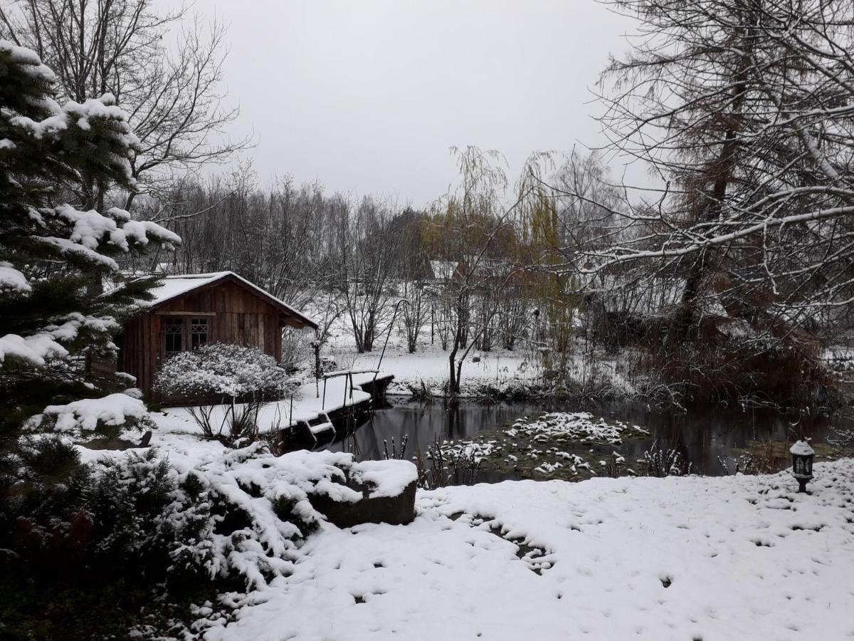 Villa Idilliska Latgaliesu Lauku Maja Ar Melno Pirti Aglona Esterno foto
